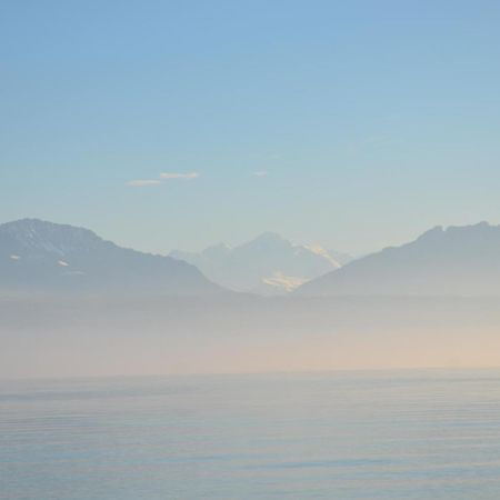 Bnb Chez Fanfan Bed & Breakfast Morges Exterior photo